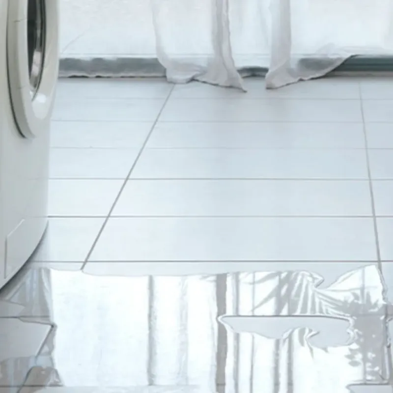 Appliance Leak Cleanup in Preston, TX