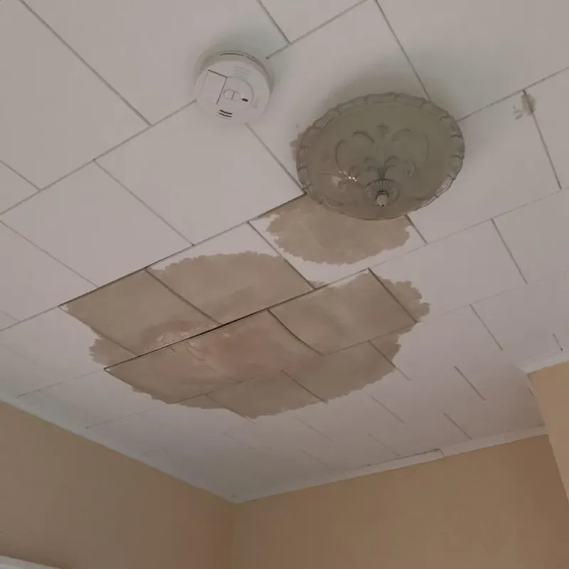 Ceiling Water Damage Repair in Preston, TX