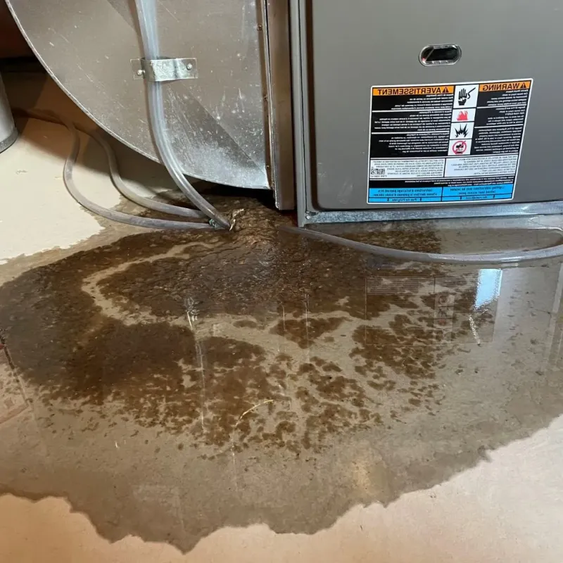 Pipe Burst and Leak Restoration in Preston, TX