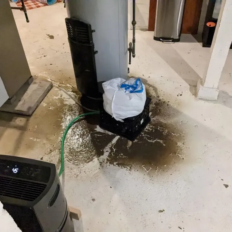 Sewage Backup Cleanup Service in Preston, TX